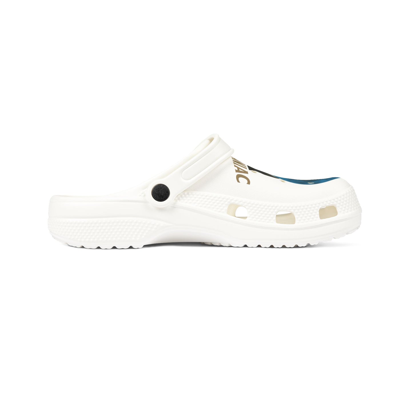 Stylish EVA Foam Rubber Clogs, Comfortable Slip-On Shoes, Unique Crocs Style, Perfect for Summer, Casual Footwear