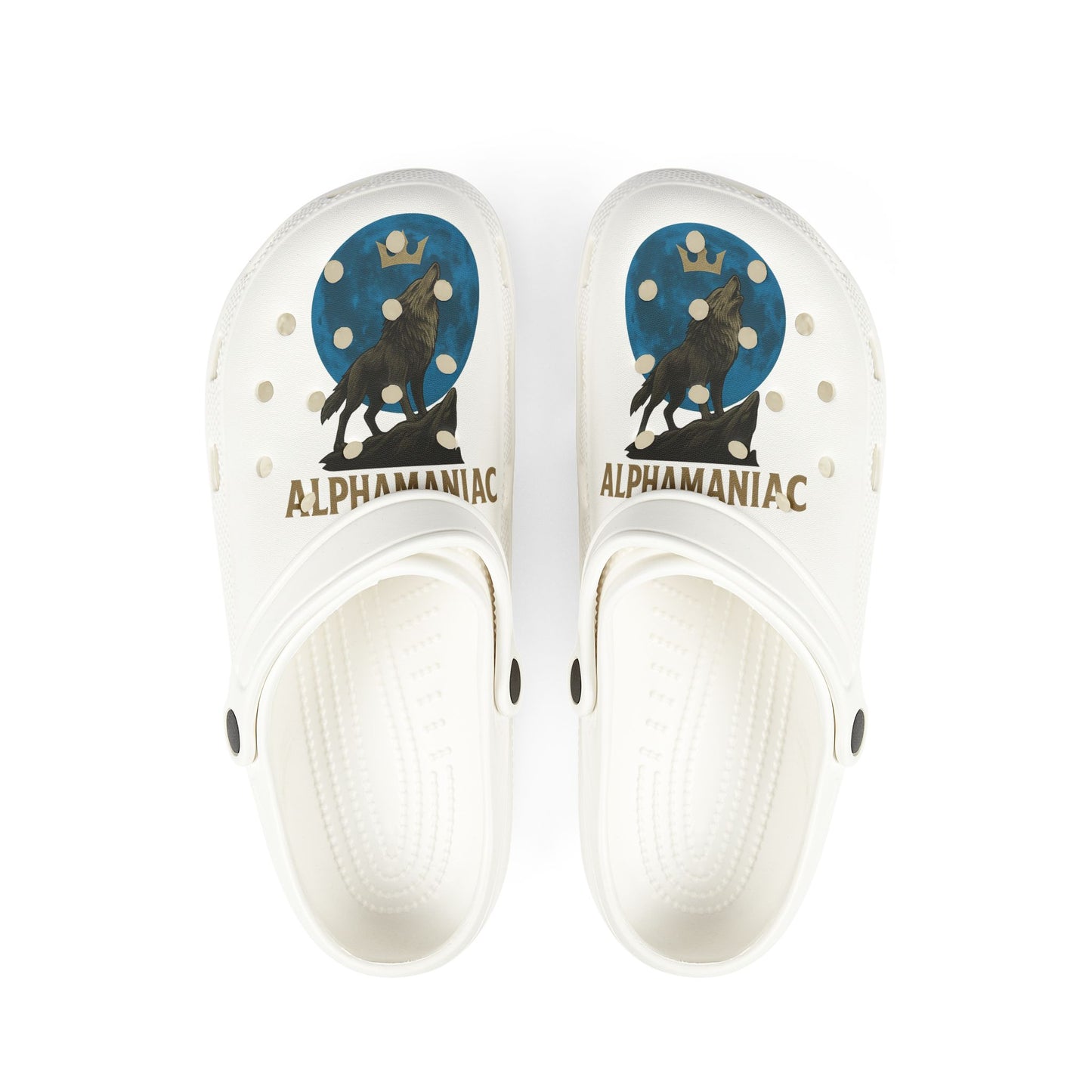 Stylish EVA Foam Rubber Clogs, Comfortable Slip-On Shoes, Unique Crocs Style, Perfect for Summer, Casual Footwear